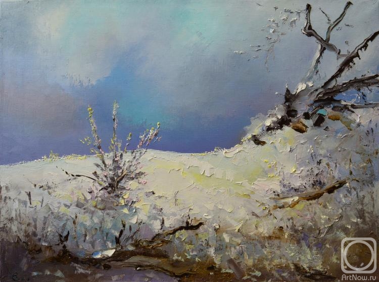 Stolyarov Vadim. Winter contrast