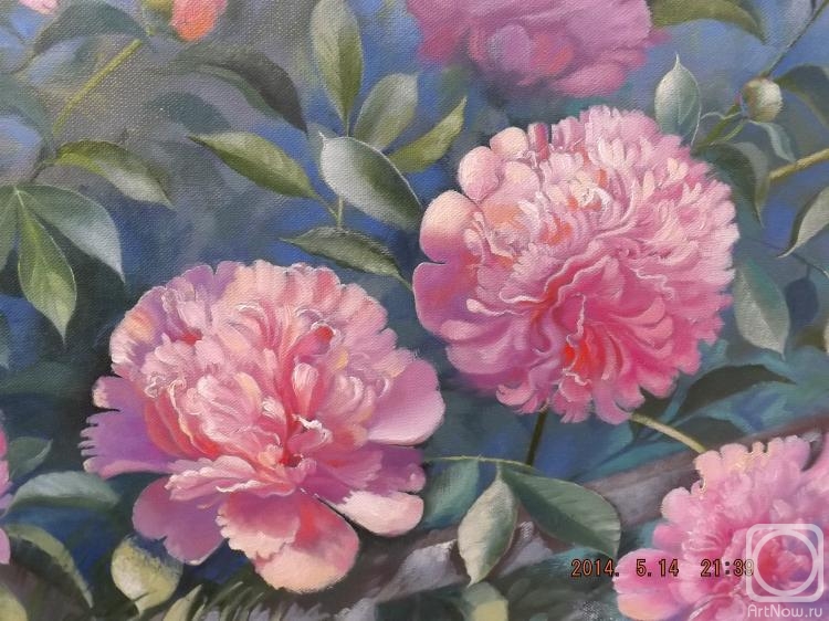 ������� ������ �� ������. ���������� �������. ����� � ����� ����.��������