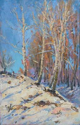 Birches Warm Light. Arepyev Vladimir