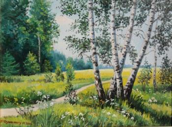Birch Grove. Chernyshev Andrei