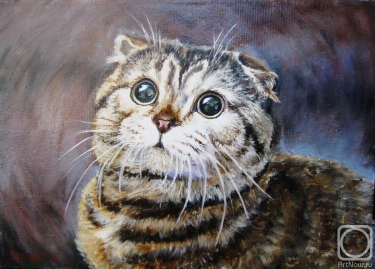 Neroznik Anna. Got scared