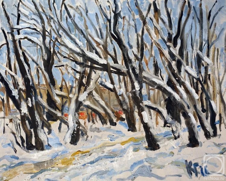 ������� ������ �� ������. �������� ������. ������ 26.01.16. ������� ������������