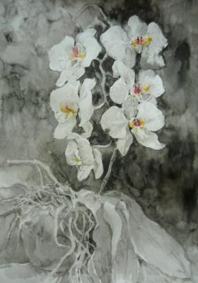 Orchid. Samoshchenkova Galina