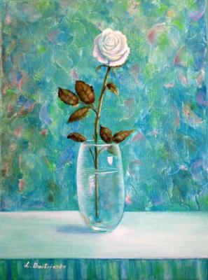 ����. ���������� �������