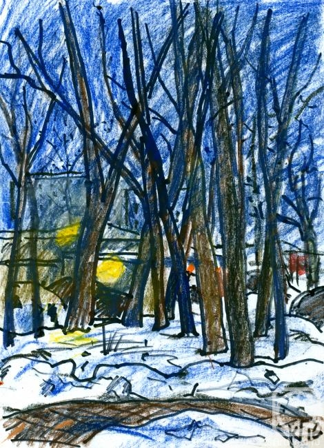 Karaceva Galina. Evening in my yard