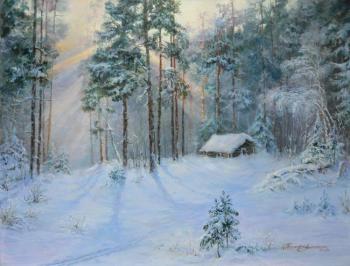 Winter lived in a hut. Antonyuk Tamara