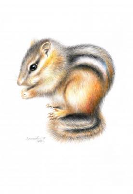 ��������. �������� ��������