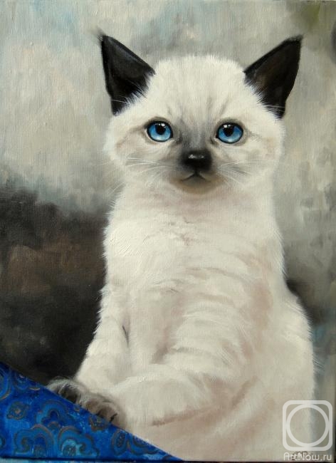 ������� ������ �� ������. ������ ����. ������� ��� ��������