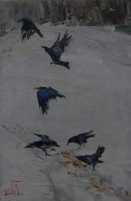 Crows. Golovchenko Alexey