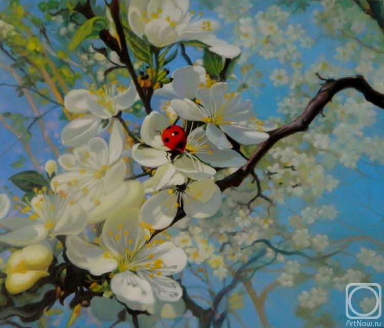 ������� ������ �� ������. ������ ������. ������