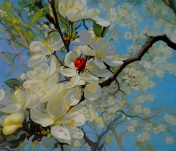 ������� ��������