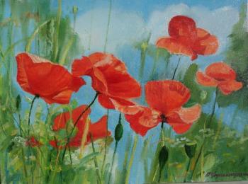 Poppies on blue