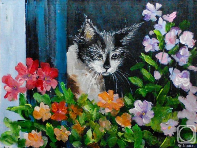 �������. �������� ���������. ���������