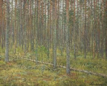In a Pine Forest. Ovsianikov Anton