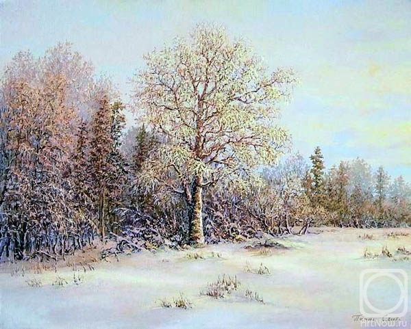 Panin Sergey. Winter