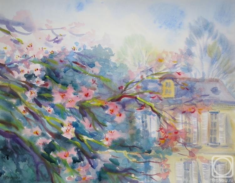 �������. ���������� ���������. �������� ��������