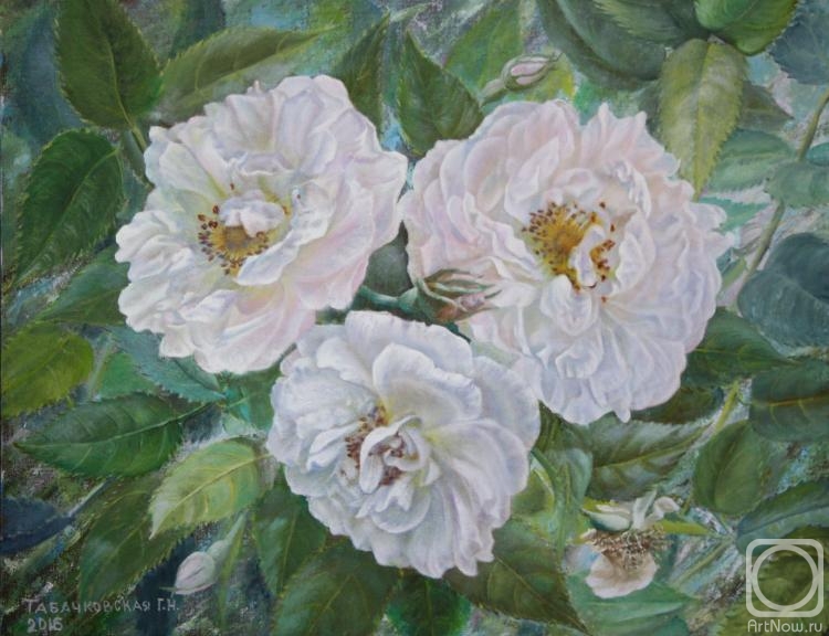 Kudryashov Galina. White Rose