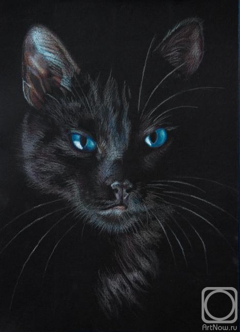 �������. �������� �������. ������