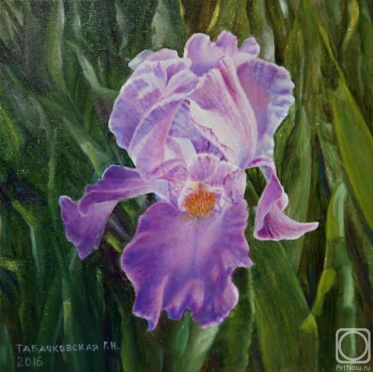 Kudryashov Galina. Iris in the sun