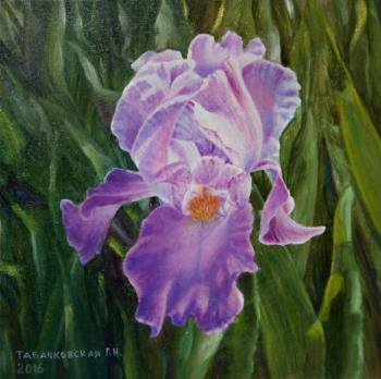 Iris in the sun (Kudryashov-Tabachkovskaya). Kudryashov Galina