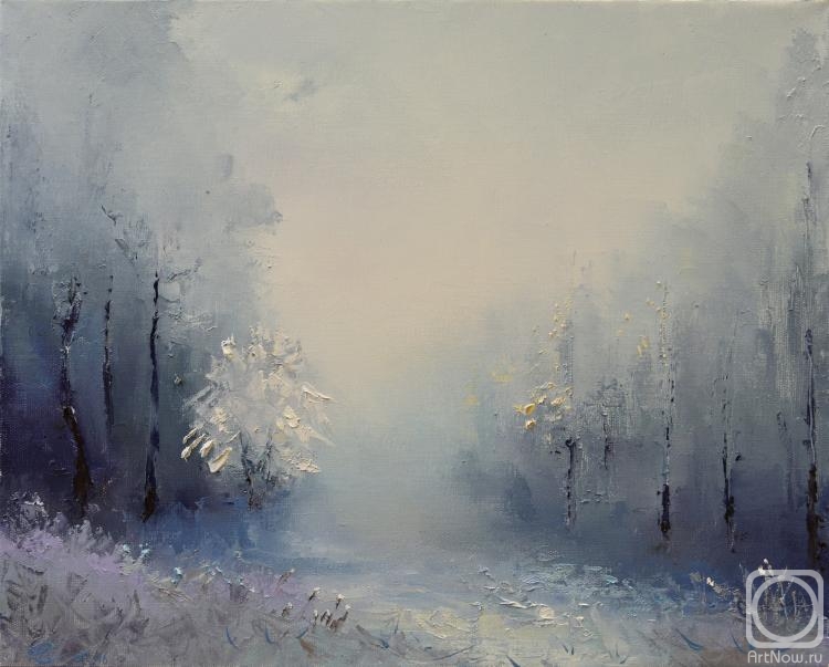 Stolyarov Vadim. Winter mist