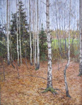 Birch trees in late autumn. Filippov Vladimir