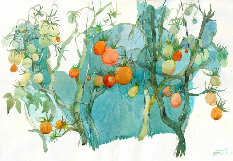 �������. ����������� ������. ��������