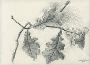 Oak Branch. Yudaev-Racei Yuri
