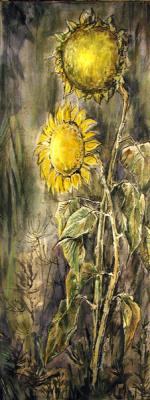Sunflowers (graphic). Kaminskaya Maria