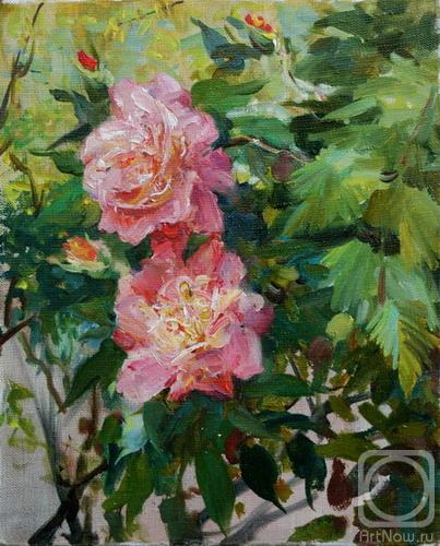 ������� ������ �� ������. ������� ����. ����� ����