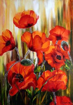 Poppies in the sun's rays. Grosa Ludmila