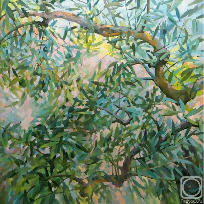 Chizhova Viktoria. Hoary olive leaves ancient whisper