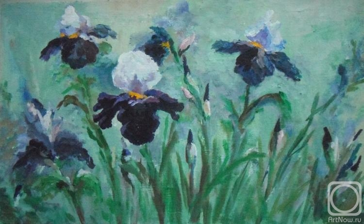 Tikhomirova Marina. Irises in the morning meadow