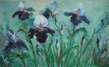 Irises in the morning meadow. Tikhomirova Marina