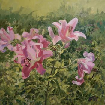 Solo by pink lily. Shirobokova Taisiya
