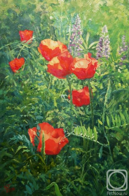 ������� ������ �� ������. ���������� ������. ������� �������