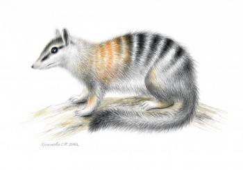 ������� ��������� ��������