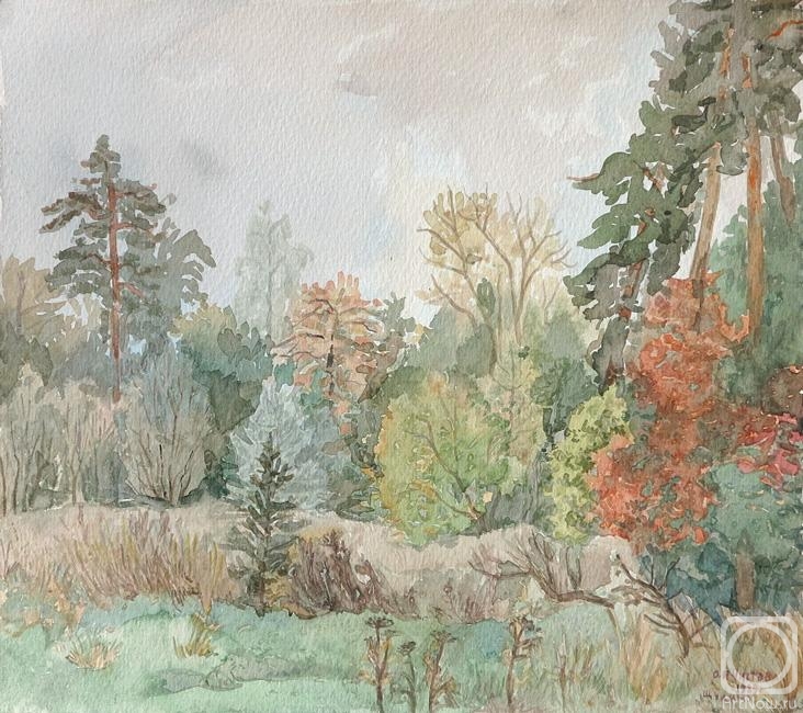 �������. ������� �����. ������