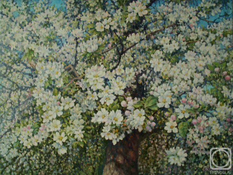 ������� ������ �� ������. ������ �����. ����� ������ ������