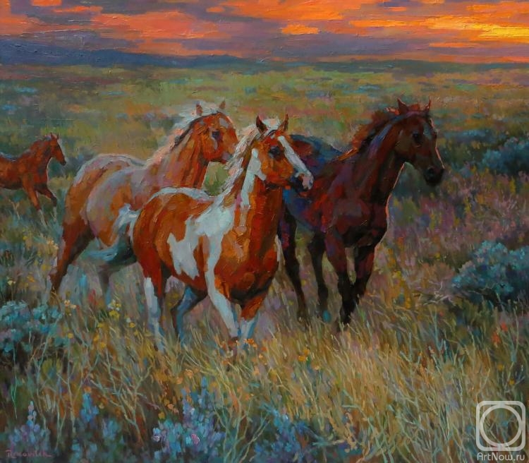 Volkov Sergey. Wild, wild horses, we'll ride them some day