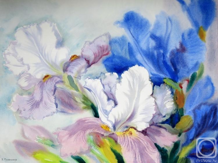 �������. ���������� ���������. ������ ���