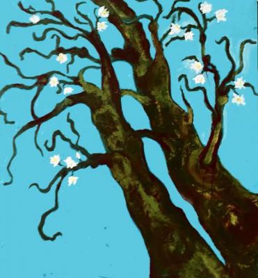 ������� ������� ������ ��� ����