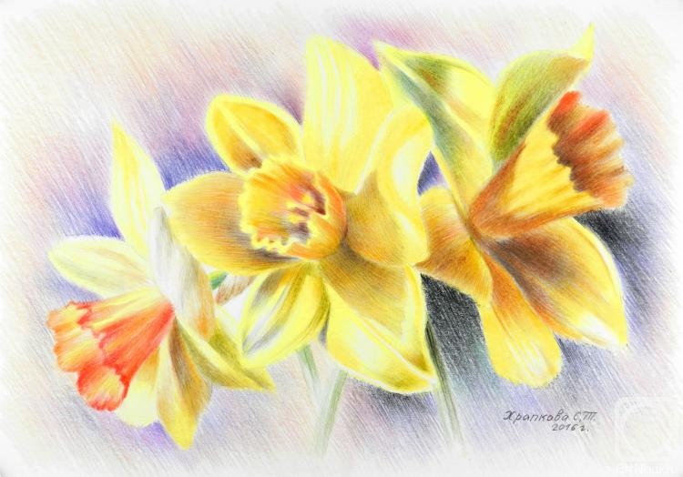 Khrapkova Svetlana. Daffodils