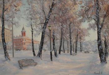 Ulyanovsk winter. Panov Aleksandr