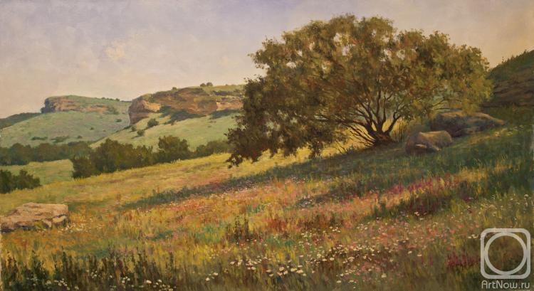 Bravkov Vladimir. Morning in Tomusli