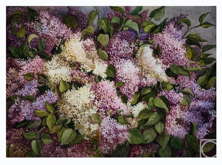 �������. ��������� �������. ������