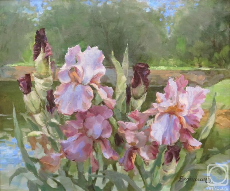 Vedeshina Zinaida. Irises by the river