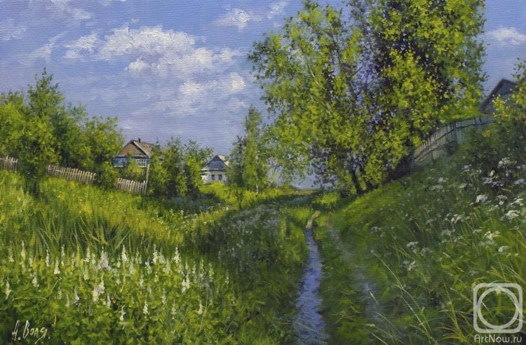 Volya Alexander. Path on edge of village
