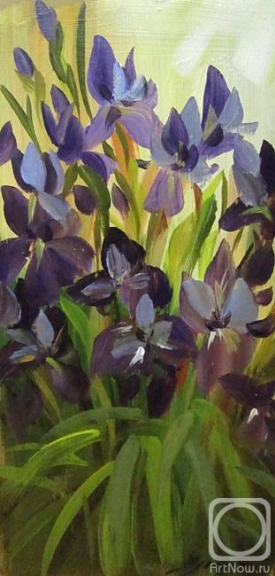 ������� ������ �� ������. ������ �������. ���� ���������