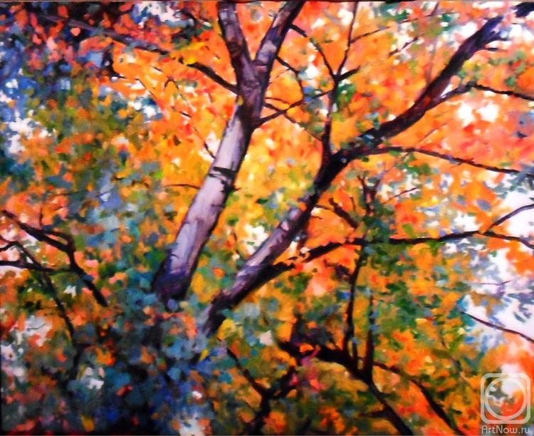 ������� ������ �� ������. ������� ��������. ������� ��������